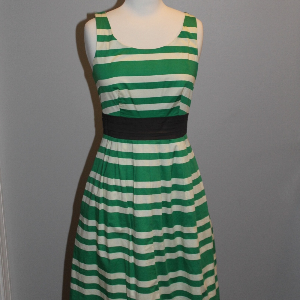 The Limited Green Stripe Dress